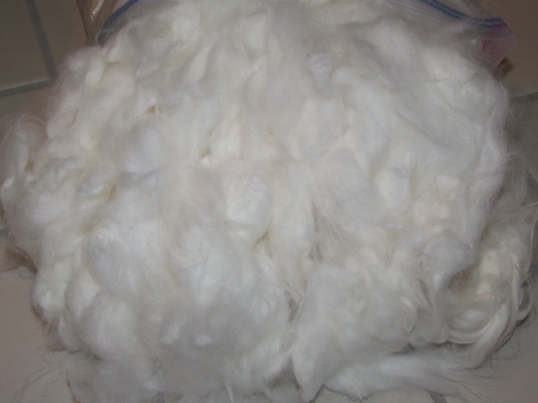 Natural Angora Rabbit Wool - Stargazing Fiber Farm